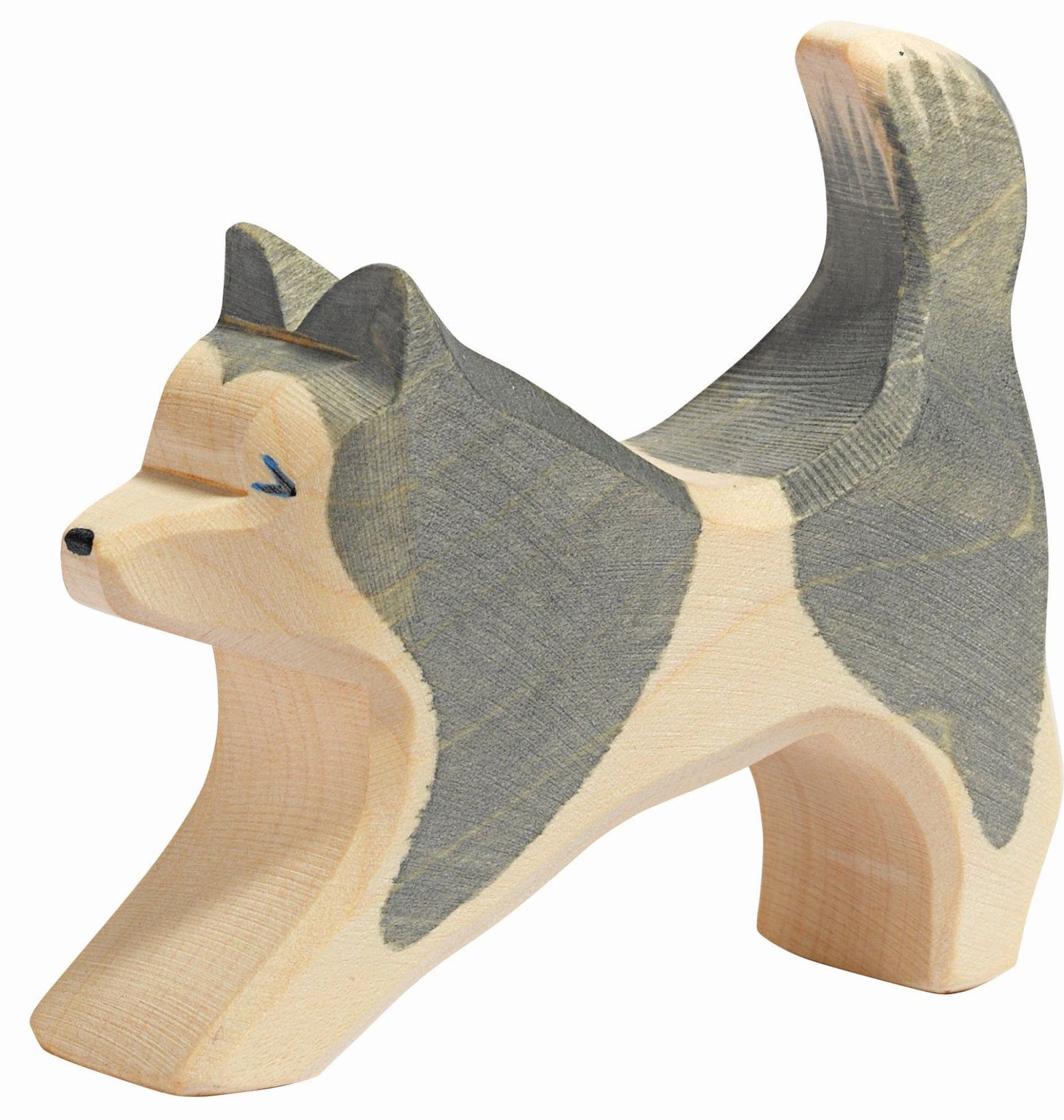 Сибирско хъски тичащо - Sled Dog running - Ostheimer
