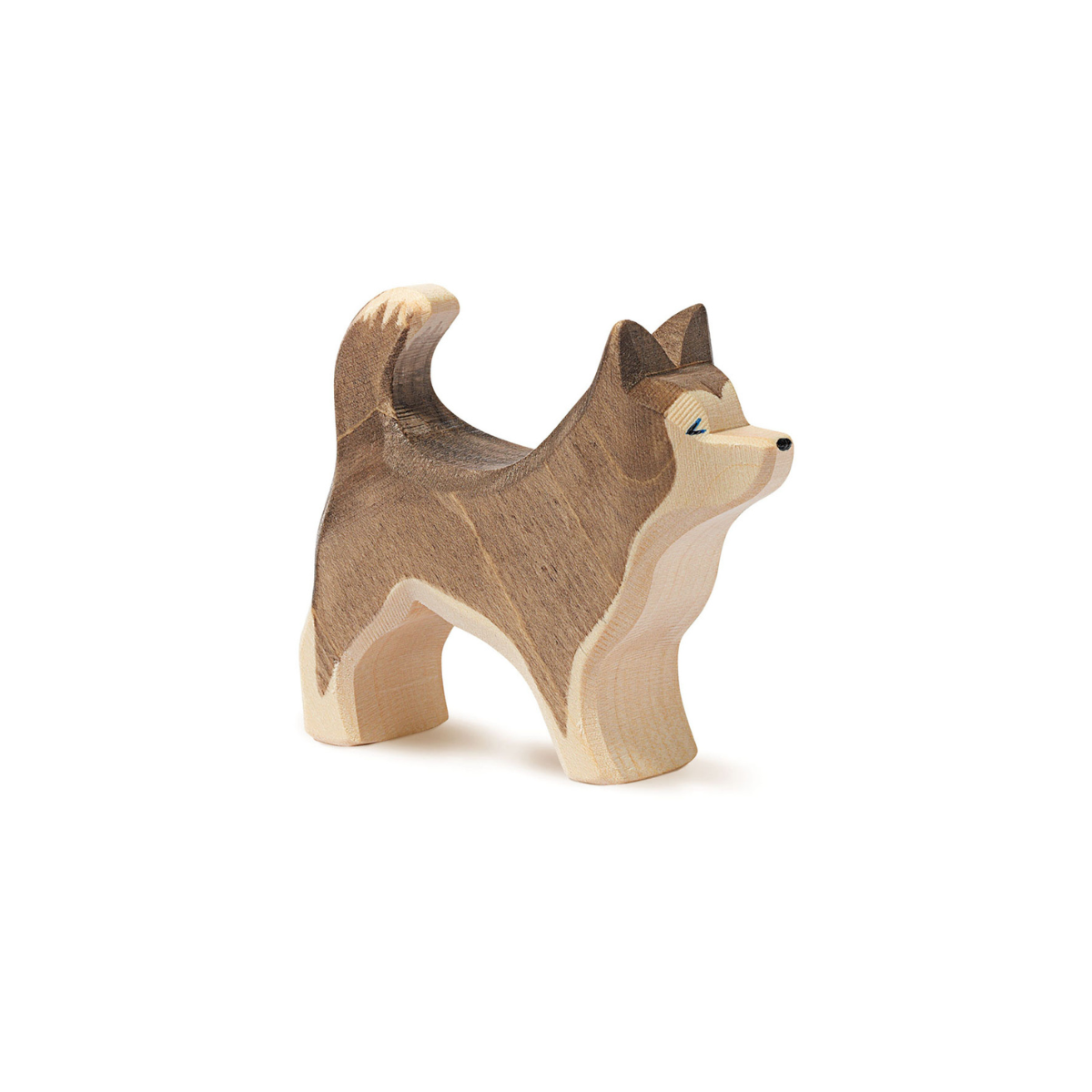 Сибирско хъски - Sled Dog standing - Ostheimer
