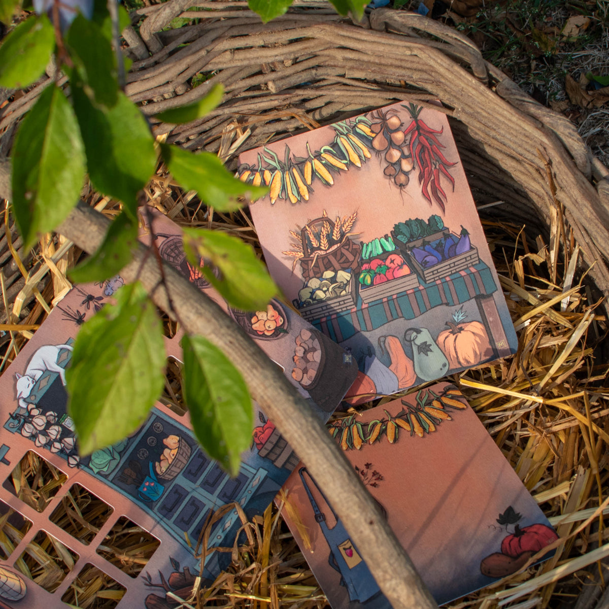 Wallpaper Small Set - The Bookshop - The Storyhouse